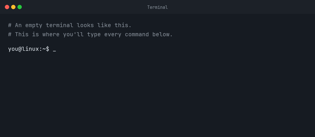 An empty Linux terminal window ready for typing commands